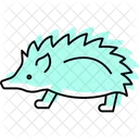 Porcupine Mammal Quills Icon