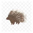 Porcupine Animal Vector Icon