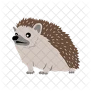 Porcupine Hedgehog Animal Icon
