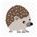 Porcupine Hedgehog Animal Icon
