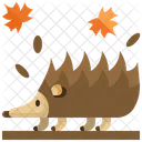 Porcupine  Icon