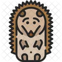 Porcupine Hedgehog Animal Icon