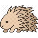 Porcupine  Icon