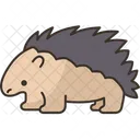 Porcupine  Icon
