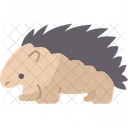 Porcupine Spines Rodent Icon