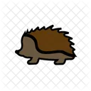 Porcupine Animal Hedgehog Icon