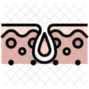 Pore  Icon