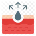 Pores  Icon
