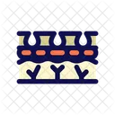 Pore Skin Epidermis Icon