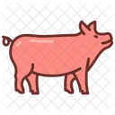 Pork Swine Pig Icon