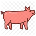 Pork Swine Pig Icon