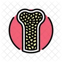 Porous Bone Osteoporosis Icon