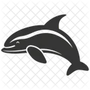 Porpoise Marine Mammal Cetacean 아이콘