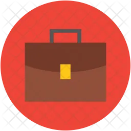 Portfolio  Icon