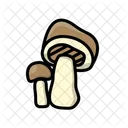 Portobello Mushroom  Icon