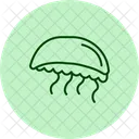 Portuguese Man O War Portuguese Man Icon