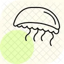 Portuguese Man O War Portuguese Man Icon