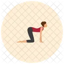 Chat Yoga Pose Icon