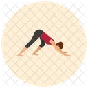 Downdog Yoga Pose Icon