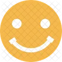 Positive Smile Positive Face Icon
