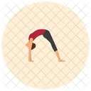 Rueda Yoga Pose Icono