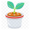 Pot Plante Jardinage Icône