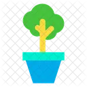 Cultivation Plant Pot Planter Icon