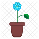 Home Pot Leaf Icon