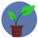 Leaves Green Plant Icon