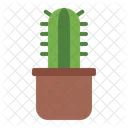 Pot Cactus Plant Icon
