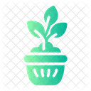 Pot Plant Nature Icon