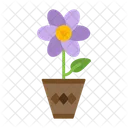 Pot Plant Flower Icon