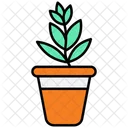 Pot De Plante Plante Nature Icône