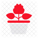 Pot Flower Begonia Icon