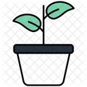 Pot Plant Food Icon