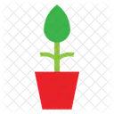 Plant Nature Food Icon