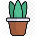 Pot Plant Indoor Plant House Plant Icon