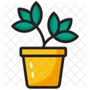 Pot plant  Icon