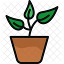 Flower Plant Pot Icon