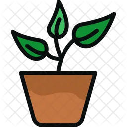 Pot Plant  Icon