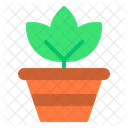 Pot Plant Spring Season Icon