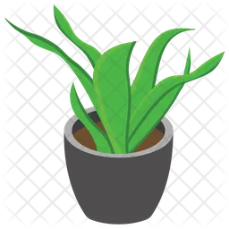 Pot Plant  Icon