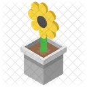 Pot Plant Sunflower Outdoor Plant Icon