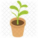 Pot Plant Houseplant Leaf Plant Icon