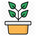Pot Plant Icon