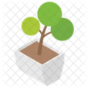 Pot Plant House Plant Flowery Plant Icon