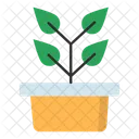 Pot Plant Icon