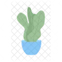 Pot Plant With Large Leaves Icon