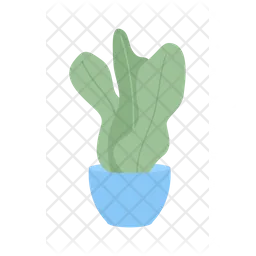 Pot plant with large leaves  Icon