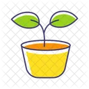 Pot Plant Seedling Icon